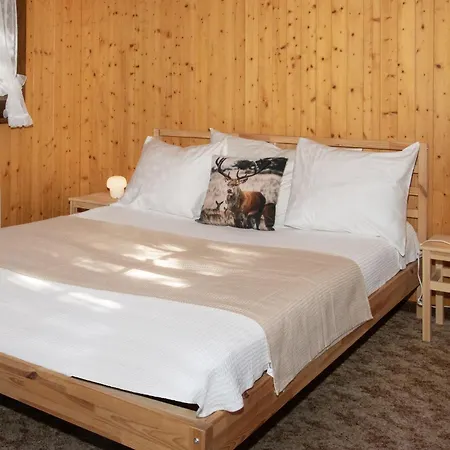 Chante Neige By Interhome 木屋 Riddes